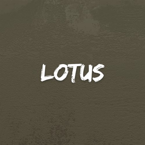 Lotus